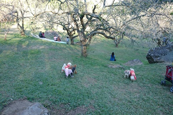 26994805_1749476018457555_1693220129_n