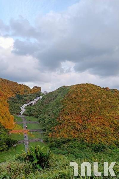 1 (20).jpg