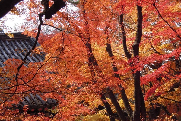 14825805_1192418734163289_2121516712_n