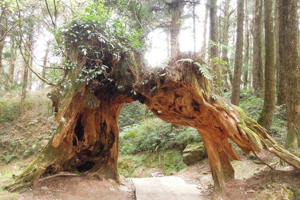 19239517_1493153214089838_298535337_n