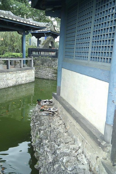 24133647_1681228001949024_1361833533_n