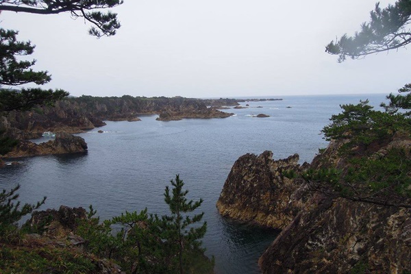 19550949_1503146056423887_2099118151_n