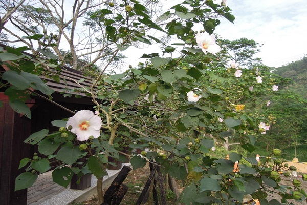 15145241_1225248834213612_1407868290_o