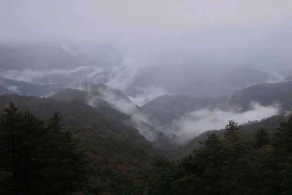 19244241_1493151710756655_873343208_n