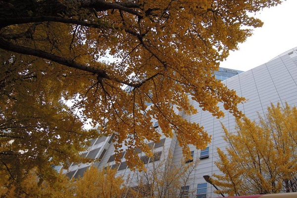 14826311_1192418267496669_30784837_n