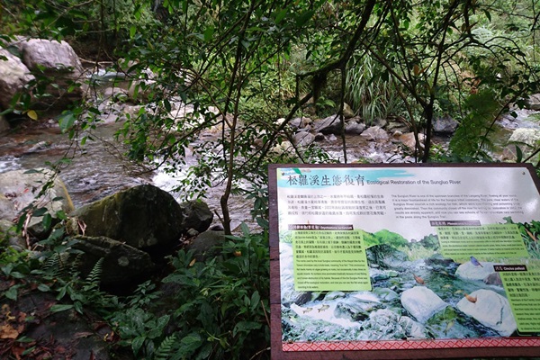 22494734_1626430554095436_358455224_o