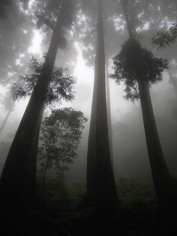 11811511_1656762961204608_1833296753474217301_n