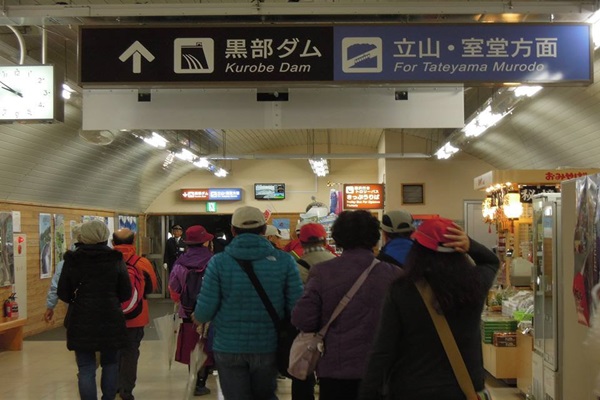 18109561_1430873290317831_1855295489_n