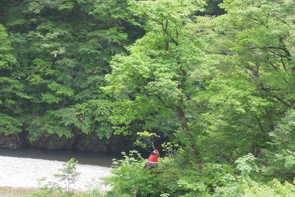 13578511_1083972655007898_2081112017_n