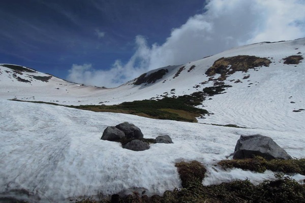 18072487_1430874233651070_619219037_n