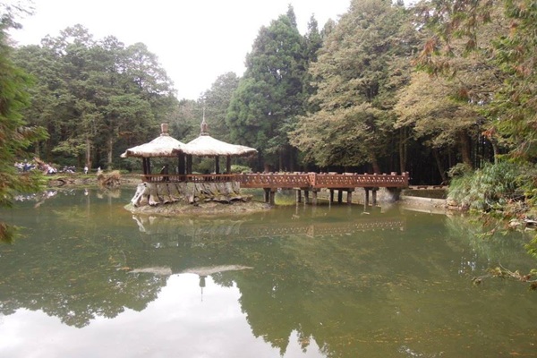 19190936_1493153677423125_1991298832_n