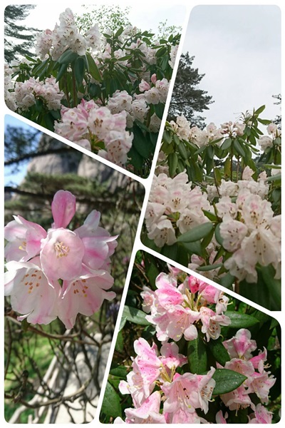 18697732_10155307703696613_2046420683_o