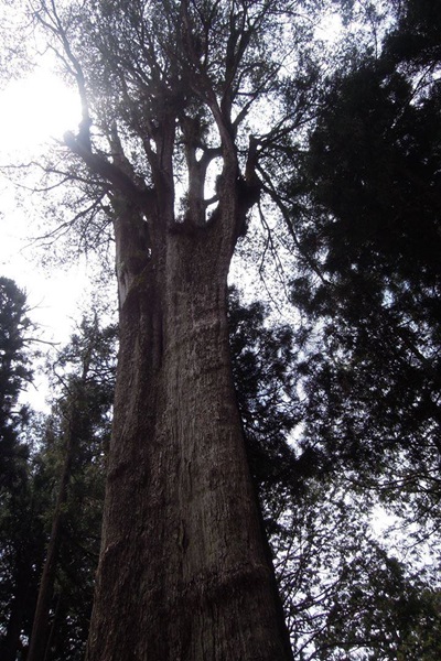 19369693_1493153004089859_1868795079_n