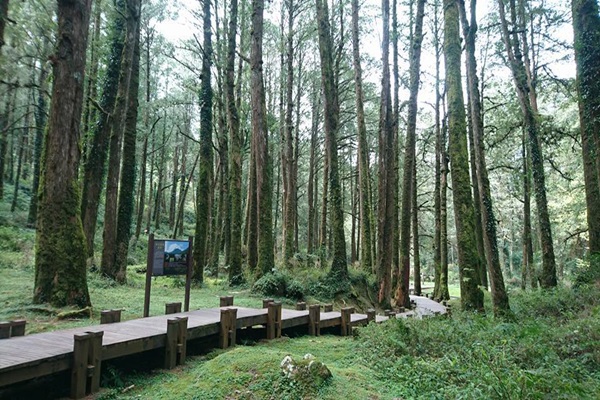 19251247_1493153700756456_1844058786_n