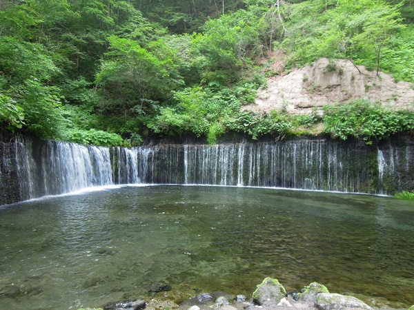 11222731_1649038325310405_8035615648661639691_o