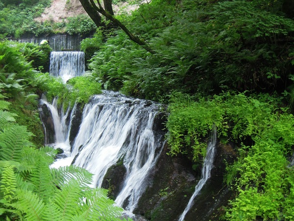 11217600_1649038355310402_5076972244061210424_o