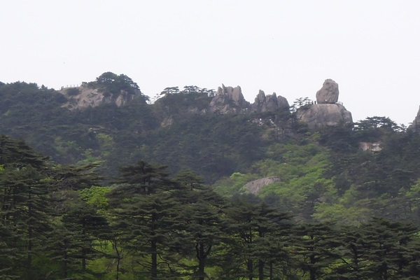 18641934_10155307701336613_28434061_o