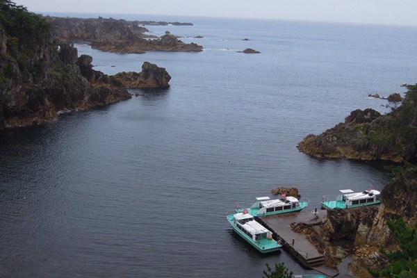 19512602_1503146146423878_1985526196_n