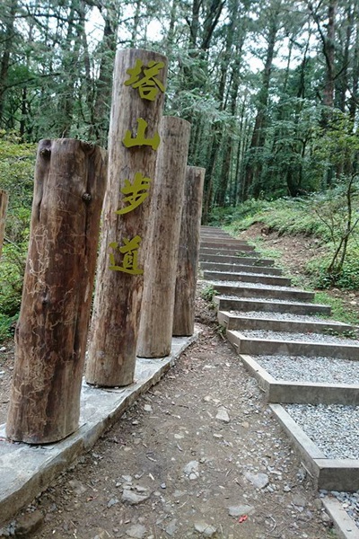 19239792_1493153877423105_1723439605_n