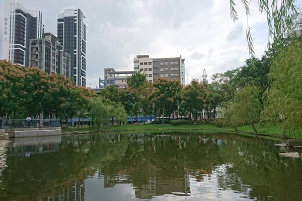 24171935_1681229005282257_766438345_n