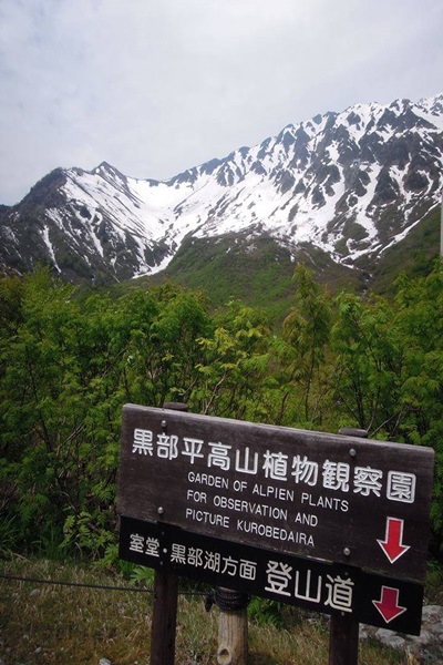 18110538_1430873520317808_1392065958_n