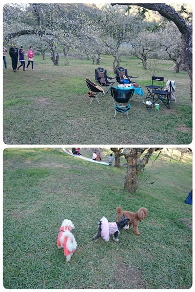 27144935_1749476478457509_1788841245_o