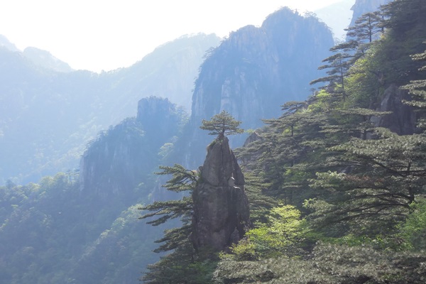 18697871_10155307702846613_376152409_o