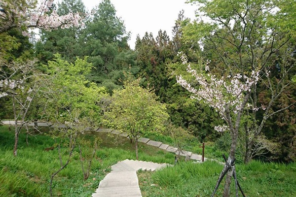 19357726_1493153984089761_1387143487_n