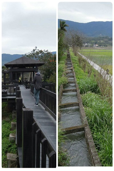 16810495_1354230207982140_1457396410_o