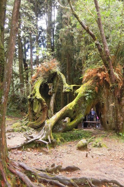 19206266_1493153447423148_1819400333_n