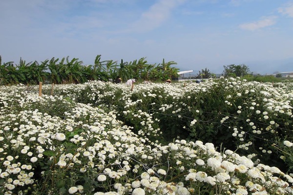 15134293_1225248900880272_270180297_n