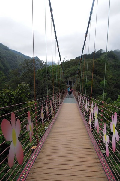 26996752_1749474385124385_1838996731_n