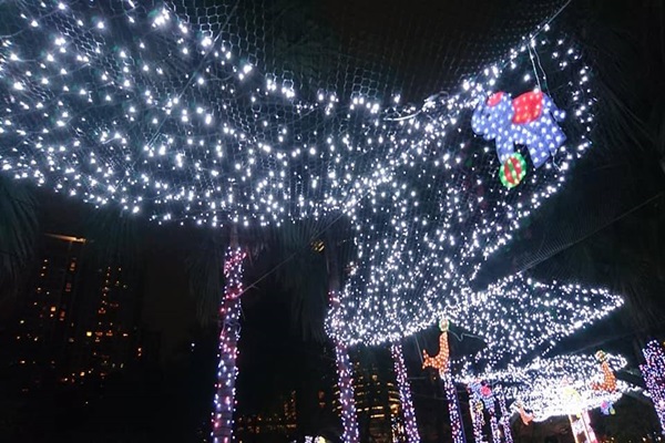 24135276_1681226541949170_1144285104_n