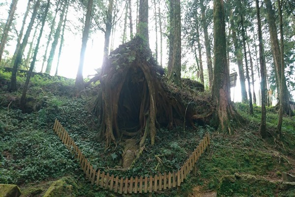 19265044_1493153137423179_666648657_n