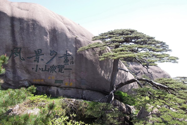 18641786_10155307701231613_656685394_o