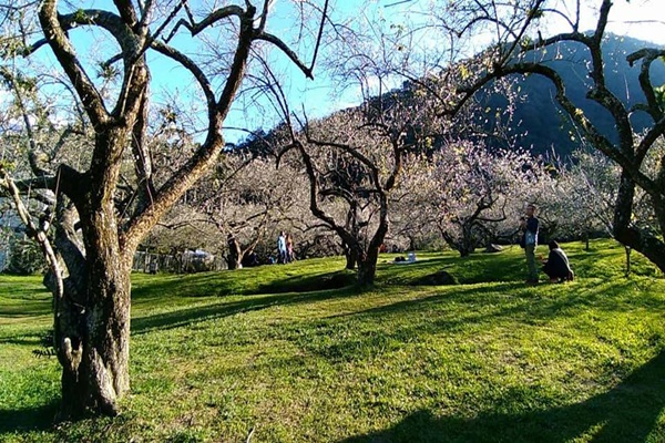 27152690_1749476388457518_354437837_n