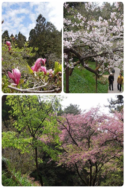 19349185_1493151610756665_1963409309_o