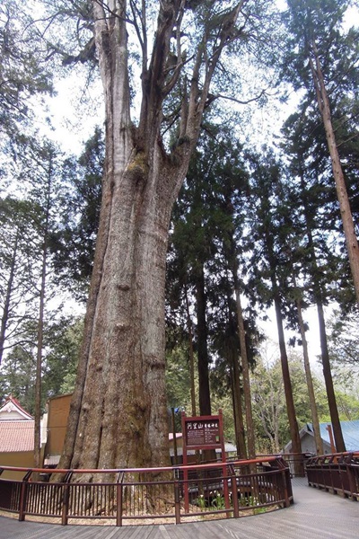 19239754_1493153070756519_1509383679_n