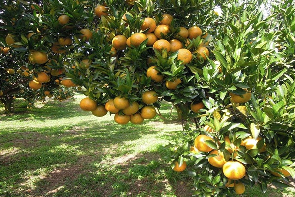 16684007_1343572932381201_3052760498044884740_n