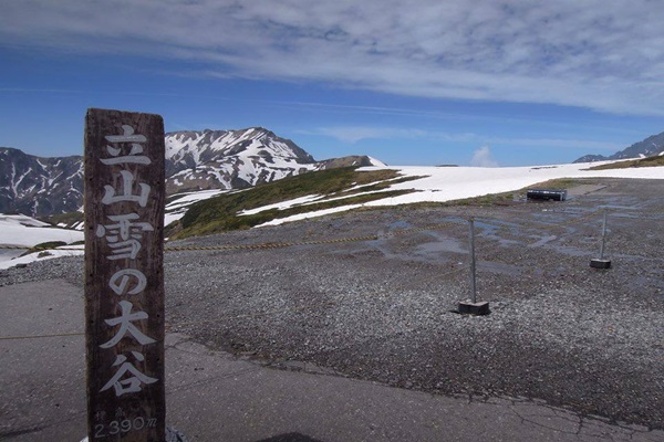 18051611_1430873903651103_1426101788_n