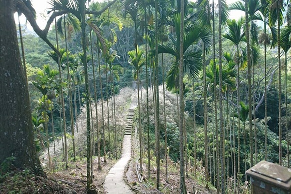 26996044_1749474231791067_1548548211_n