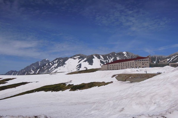 18110674_1430872920317868_548876519_n