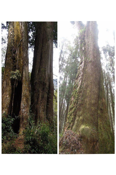 19339771_1493152797423213_51739148_o