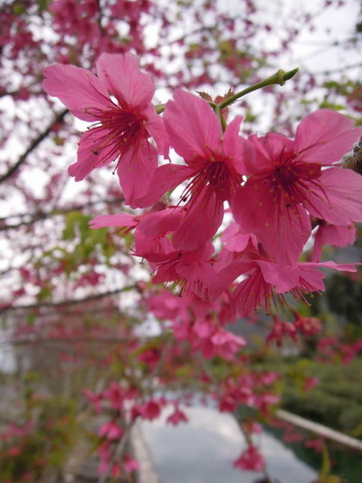 397388_136042223228398_1186048047_n