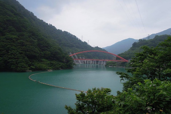 13578519_1083972185007945_1452828260_n