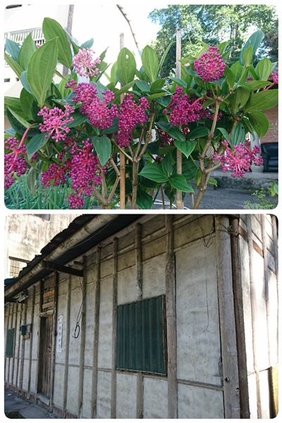 27048059_1749475878457569_1126704280_o