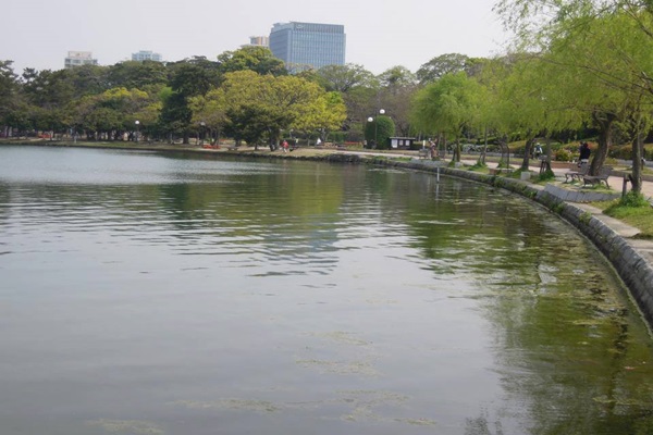 21850642_1601390966599395_735167948_n