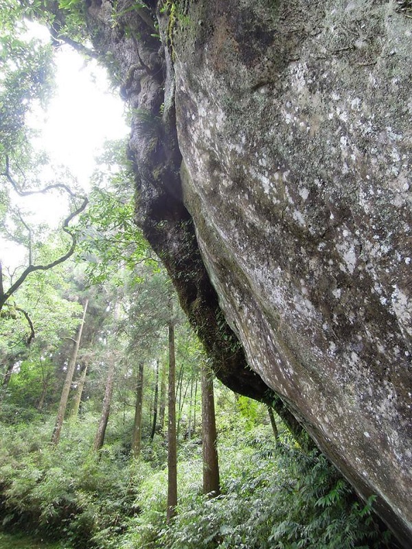 11846747_1656762821204622_2078072293257636245_n