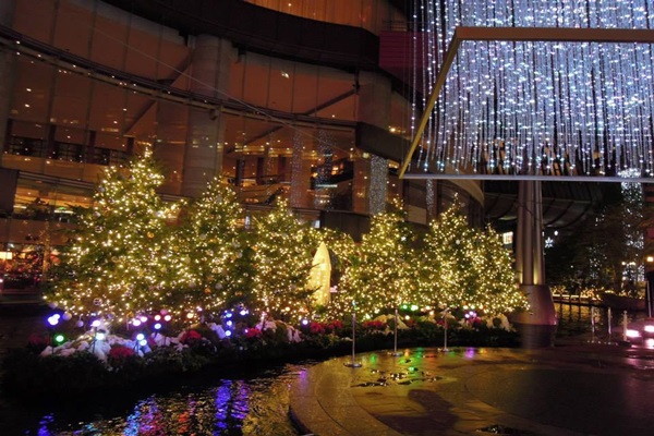 21905752_1601390049932820_1146236506_n