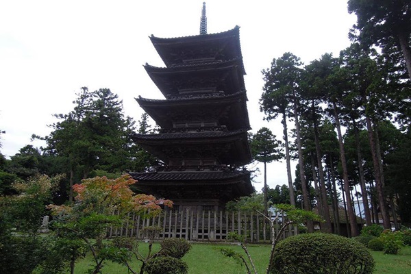 19511698_1503146889757137_429895757_n